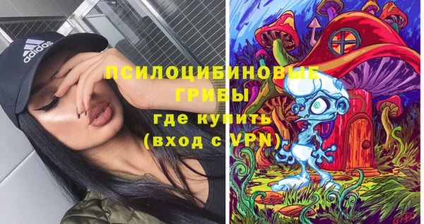 дживик Арсеньев